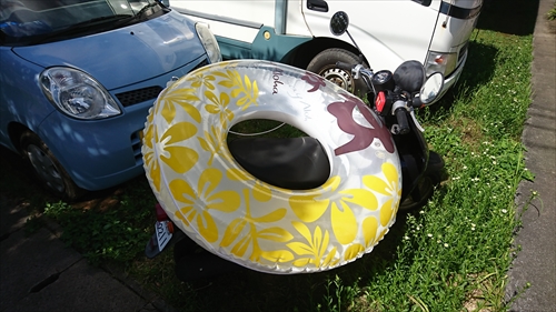 6���E2019�N���f����I